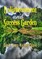 Opare, D: Enlightenment and Success Garden