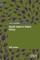 Social Value in Public Policy