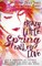 Crazy Little Spring Called Love