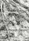 Babyn Yar: Past, Present, Future