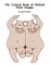 The Cartoon Book of Medical Word Origins