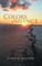 Colors of silence