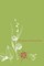 Taxonomy of Flowering Plants