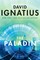 The Paladin: A Spy Novel