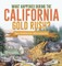 What Happened During the California Gold Rush? History of the Gold Rush Grade 5 Children's American History