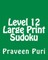 Level 12 Large Print Sudoku