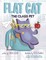 Flat Cat: The Class Pet