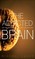 Addicted Brain, The