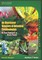 An Illustrated Glossary of Botanical Terminologies