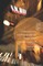 Contemporary Adulthood and the Night-Time Economy