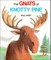 The Gnats of Knotty Pine