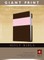 Giant Print Bible-NLT
