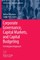 Corporate Governance, Capital Markets, and Capital Budgeting