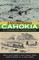 Envisioning Cahokia