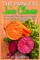 The Painless Juice Cleanse