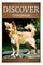 Chihuahua - Discover