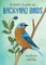 A Kid's Guide to Backyard Birds