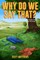 Why Do We Say That? 101 Idioms, Phrases, Sayings & Facts! The Origins & History Of Your Favorite Colloquial Terms, Expressions, Phrases & Proverbs