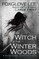The Witch of the Winter Woods