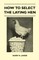 How To Select The Laying Hen