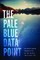 The Pale Blue Data Point