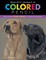 Realistic Animals in Colored Pencil
