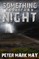 Something More Than Night