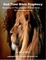 End Time Bible Prophecy - Revelation 1:1 the Revelation of Jesus Christ . . . the Lamb Is Now a Lion