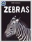 Zebra Activity Workbook ages 4-8