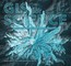 GIS for Science