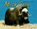 Musk Oxen