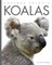 Koalas