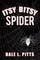 Itsy Bitsy Spider