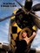 Warbird Pinup Girls
