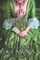 The Emerald Dress