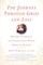 The Journey Through Grief and Loss