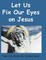 Let Us Fix Our Eyes on Jesus
