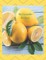My Favorite Recipes