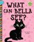 What Can Bella See?