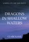 Dragons in Shallow Waters