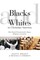 Blacks and Whites in Christian America