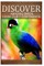 Amazing Birds From Our 7 Continents - Discover