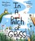 In a Patch of Grass