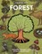 Inside Out Forest