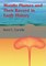 Mantle Plumes and Their Record in Earth History
