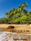 I Want to Go to Goa