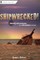 Shipwrecked!