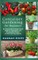 CONTAINER GARDENING for Beginners