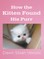 How the Kitten Found His Purr