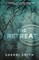 The Retreat
